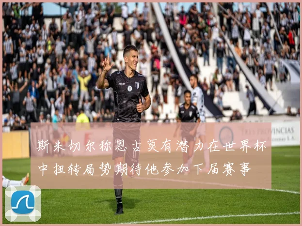 斯米切尔称恩古莫有潜力在世界杯中扭转局势期待他参加下届赛事